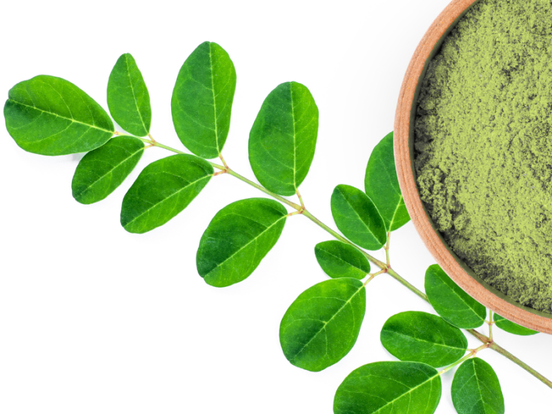 Co je Moringa?